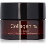 Collagenina Grade 3