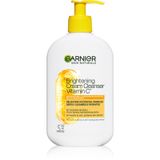Garnier Pure Active Reiniging 250 ml