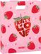 Heftbox Brunnen Heftbox A4 offen PP Fruity Love