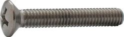 Elcee Metaalschroef RVS lenskop phillips M5 x 10mm