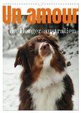 Un Calvendo Un amour de berger australien (Calendrier mural 2027 DIN A3 horizontal)