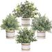 Unyqoos® Set de quatre plantes artificielles décoratives en pot gris, 23 cm