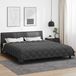 vidaXL Winter Duvet 220 x 240 cm 450 gsm Microfiber (100% Polyester)