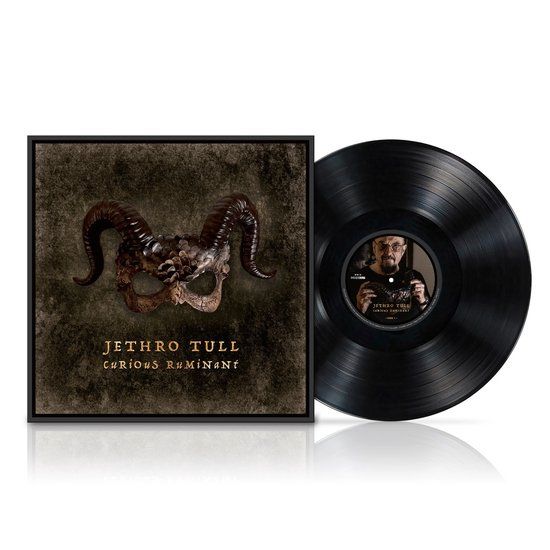 Curious Jethro Tull Curious Ruminant