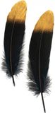 PartyXplosion Ganzenveer/sierveer - 10x stuks - zwart met goud - 18-22 cm
