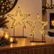 Anna's Collection Verlichte ster/decoratie ster - Metaal - Warm wit licht - D36 cm