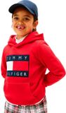 Tommy Hilfiger Heritage Flag Hoodie Rood 12 Jaar Jongens, Meisjes