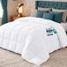 Dekbed - 140 x 200 cm - Microvezel - 370 GSM - Blanc