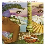 Mr. Weather Report - Mr. Gone (LP)