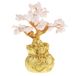 Feng Lachineuse Feng Shui Boom in Rozenkwarts – Liefde en Fortuin