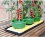 Garland Pot de plantation et d'arrosage vert - set de 3 pièces
