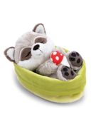 NICI Knuffel Wasbeer met Vliegenzwam slapend in Mandje, 12 cm - 63123