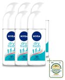 Nivea 6 x Dry Fresh Déodorant roll-on - 50 ml - Lot de 6 pièces