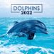 Grupo Erik Wandkalender 2022 Dolphins 30 x 30 cm Papier Blauw