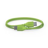 RØDE SC22 USB-C naar USB-C Kabel (30cm, Groen)