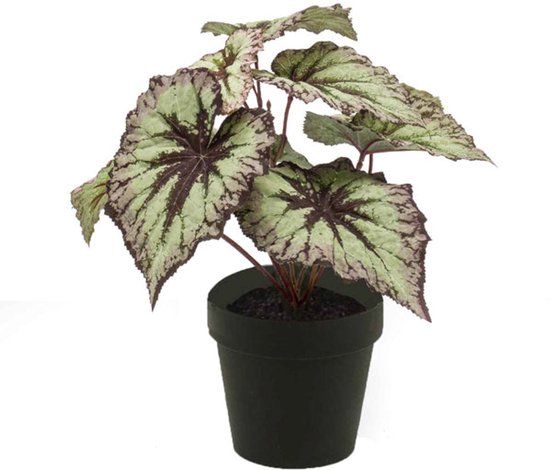 Emerald - Kunstplant in pot Begonia grijs/paars 25cm