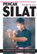 Pencak Silat