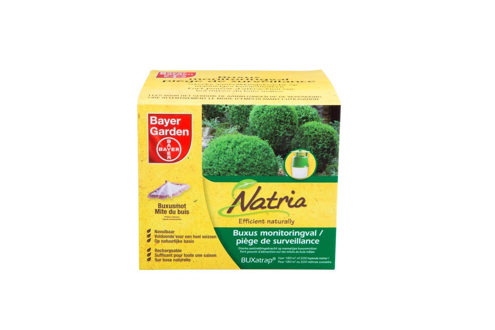 Bayer Natria BUX atrap Buxus monitoringval 1 st