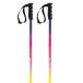 Faction Skis Bâtons Lite