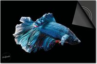 Dietrix Inductie Beschermer - 78x52cm - Under the Sea - Blauwe Vis
