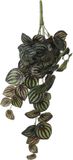 Mica Decorations Peperomia kunstplant - hangplant - 58 x 14 cm - Groen