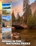 Spring National Parks Spring in the National Parks Photobook