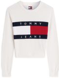 Tommy Hilfiger Tommy Jeans Gebreide Trui Katoen L Herfst/Winter 2026