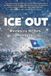 ICE Calumet Editions ICE OUT: Minnesota Writers Rising Up Paperback