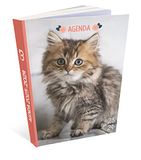Bullout kalender voor katten, 12 x 17 cm