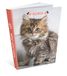 Bullout kalender voor katten, 12 x 17 cm