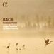 Bach Olivier Fortin & Julien Martin - Bach Transcriptions (CD)
