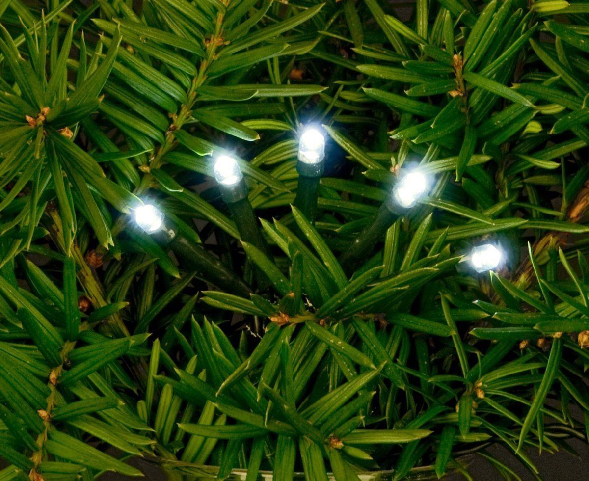 Kerstverlichting LED - 18 m - Groen snoer - Koud wit