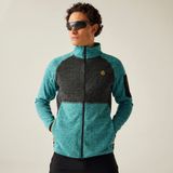Dare 2b Regatta Mountain Series thermische fleece voor heren