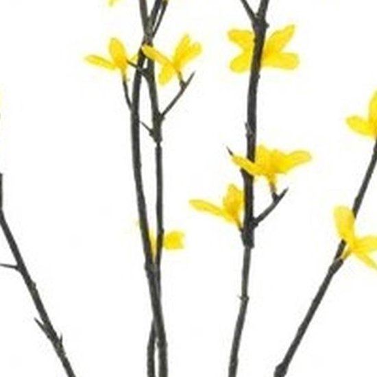 Erutan avon Forsythia spray Halle yellow 86 cm