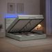 Prolenta Maison Exclusive - Lit Ottoman avec matelas et éclairage LED, gris clair, 140 x 190 cm, revêtement en velours