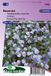 Sluis Garden Vlas Blauw (Linum) Bloemzaad