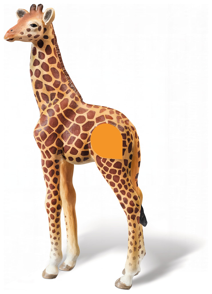 Ravensburger tiptoi: Giraffe