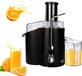 Adler AD 4127 - Juicer - 1000W - Black - Stainless Steel - 2 Speeds