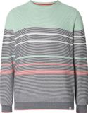 Babista heren Trui - 52/54 - groen - Plus Size