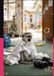 The Boy Who Became a Monkey: and Other Inconveniences