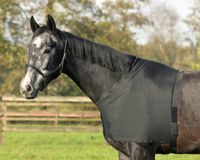 QHP Brands of Q Borstbeschermer lycra Zwart M
