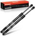 Frankberg 2 x gasveren voor achterklep, compatibel met C30 Hatchback 2006-2012 C30 533 Hatchback 2006-2012, vervanging # 31278323