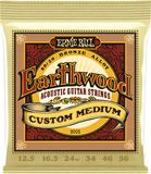 Ernie Ball 2005 Custom Medium Earthwood Snaren Set