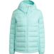 Adidas Terrex Multi Light Climawarm Donzen Jas Blauw L Vrouw