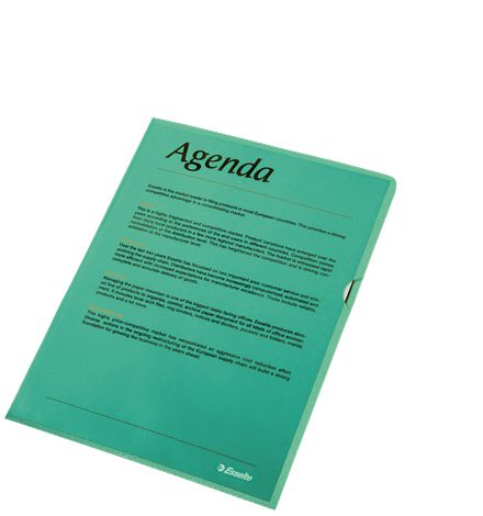 Esselte Standaard Zichtmap A4 - Polypropyleen (PP) - Groen - 100 Stuks