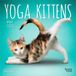 Yoga Kittens Official 2027 Monthly Mini Wall Calendar