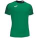 Joma Hispa Ill shirt