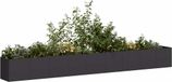 Maison Exclusive - Jardinière noir, 360x40x40 cm, en acier laminé à froid