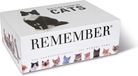 Remember Memory Spel Katten