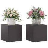 vidaXL Plantenstandaard 2 pcs Zwart 40 x 40 x 40 cm Staal